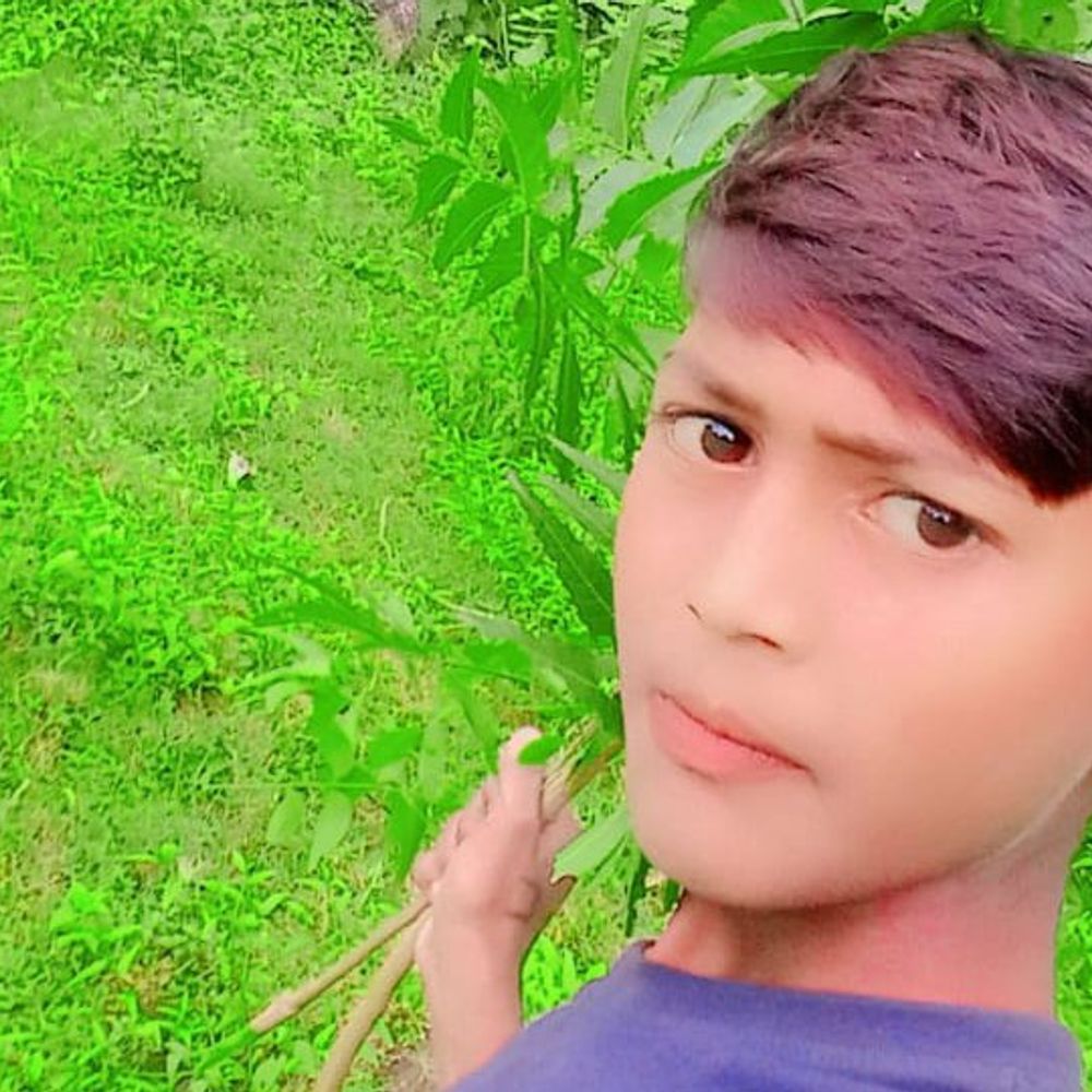 भागलपुर में सड़क हादसे में ठेला चालक की मौत:तेज रफ्तार ट्रक ने पीछे से मारी टक्कर, खाई में गिरा; घर लौटते समय हुआ हादसा