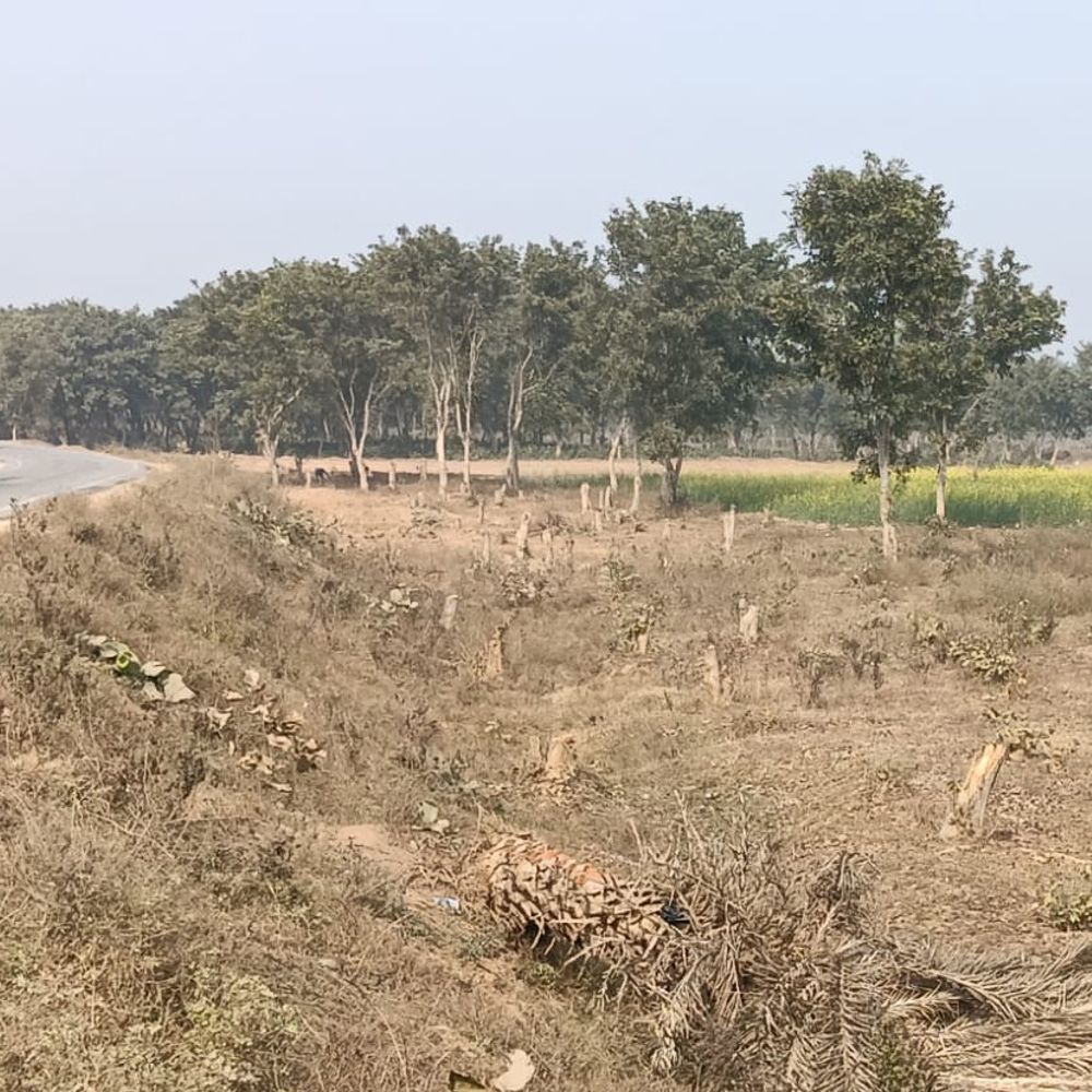 इमामगंज सड़क चौड़ीकरण में लापरवाही मामले पर कार्रवाई:कार्यपालक अभियंता पर 2500 का जुर्माना, निर्धारित मानकों के अनदेखी का था आरोप