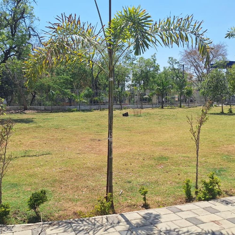 जिला अस्पताल परिसर के गार्डन में सूखने लगी घास, घट रही है सुंदरता