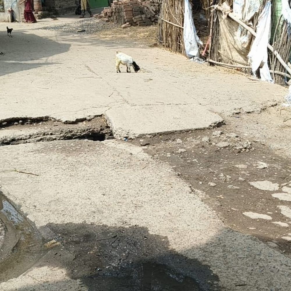 पीरपैंती के वार्ड 7 और 8 में जर्जर सड़क:टूटे नाले से बढ़ रहा हादसों का खतरा