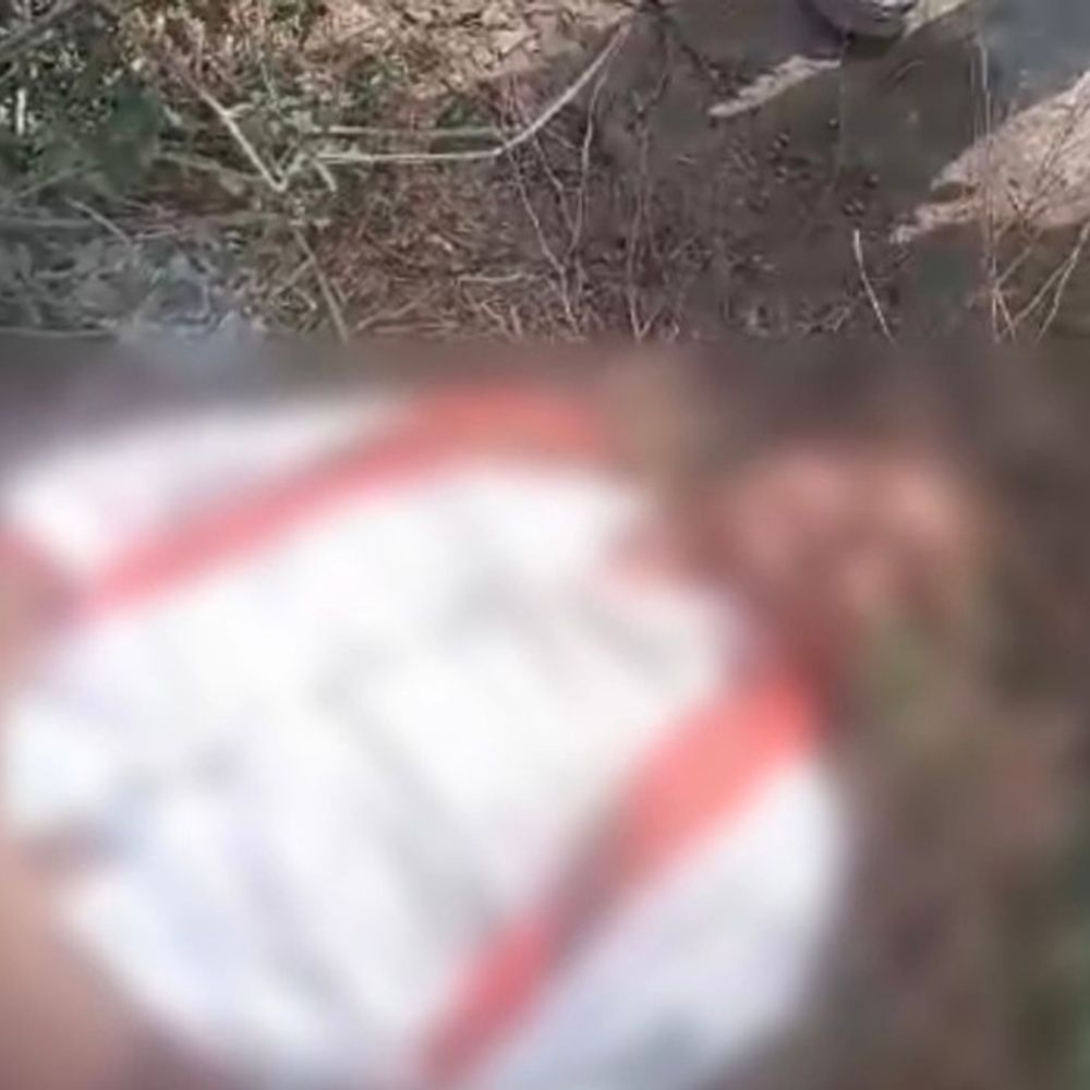 बिजली के खंभे से टकराई बाइक, कारपेंटर की मौत:शेखपुरा से मजदूरी करने लखीसराय जा रहा था युवक, तीन छोटे बच्चे हुए अनाथ