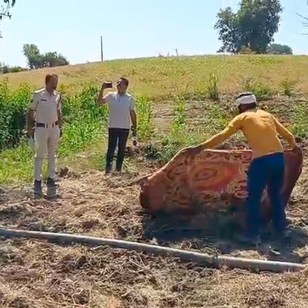 नरसिंहपुर में खेत में मिला युवक का शव:परिजनों ने जताई प्रेम प्रसंग में हत्या की आशंका
