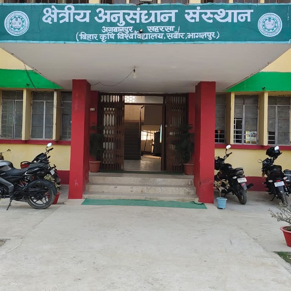 सहरसा में 3 दिन मौसम साफ और शुष्क:तापमान 31°C तक, बारिश की संभावना नहीं; किसानों को सिंचाई और फसल देखभाल की सलाह