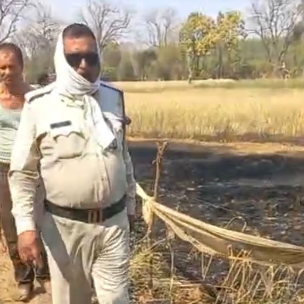 मुर्गा पार्टी से भड़की आग, गेहूं की फसल जली:कटनी में तीन किसानों का नुकसान, बोले- आरोपी समझाने पर भी नहीं माने; थाने में की शिकायत