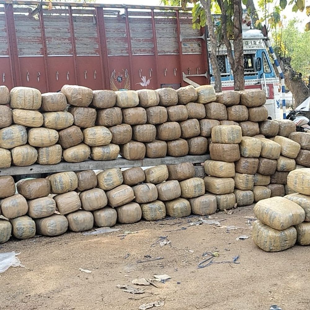 लातेहार में एक करोड़ रुपए का गांजा बरामद:भूसा लदा ट्रक रांची से पलामू की ओर जा रहा था, अंदर लोड था 10 टन गांजा