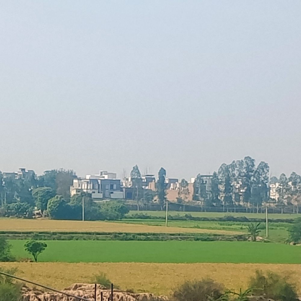 तेज धूप से मौसम में बदलाव, किसानों को राहत:अगले 5 दिन आंशिक बादल छाए रहने और तापमान 32 डिग्री पहुंचने की संभावना