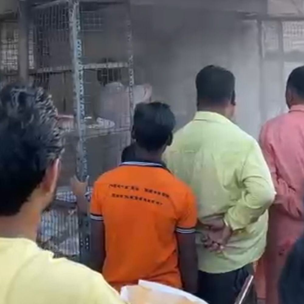 नौरोजाबाद में पोपट समोसे की दुकान में लगी आग:तलते समय भट्टी से भड़की आग, जान बचाकर भागे ग्राहक