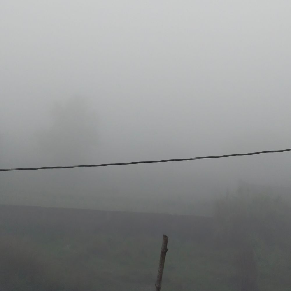 मधुबनी में घना कोहरा छाया:यात्री और किसान परेशान, मौसम विभाग ने अगले चार दिनों में बारिश की चेतावनी दी