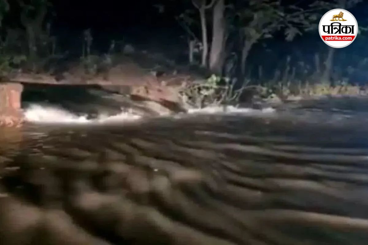 Dam Gate Broken: मूसलाधार बारिश से टूटा बांध का गेट, हाईवे पर बाढ़ जैसे हालात, खेत और सड़क डूबे