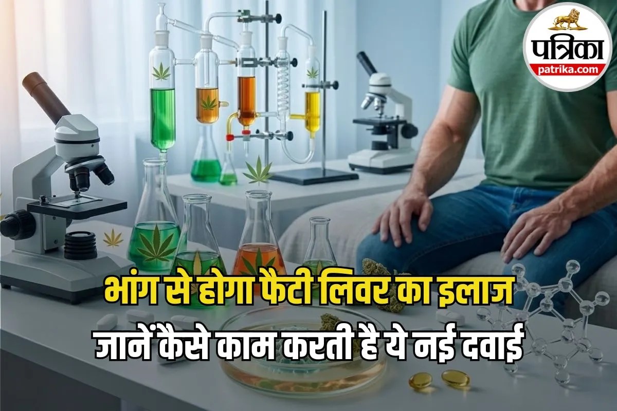 Fatty Liver Disease: इस ट्रिक से पिघलेगी लिवर की चर्बी! इजराइल के वैज्ञानिकों ने खोजा Fatty Liver का नया इलाज