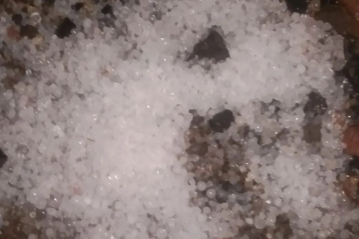 IMD Alert 20 March: राजस्थान में 20 मार्च को 20 जिलों में चलेगी तूफानी हवा, होगी ओलावृष्टि, ओरेंज अलर्ट जारी