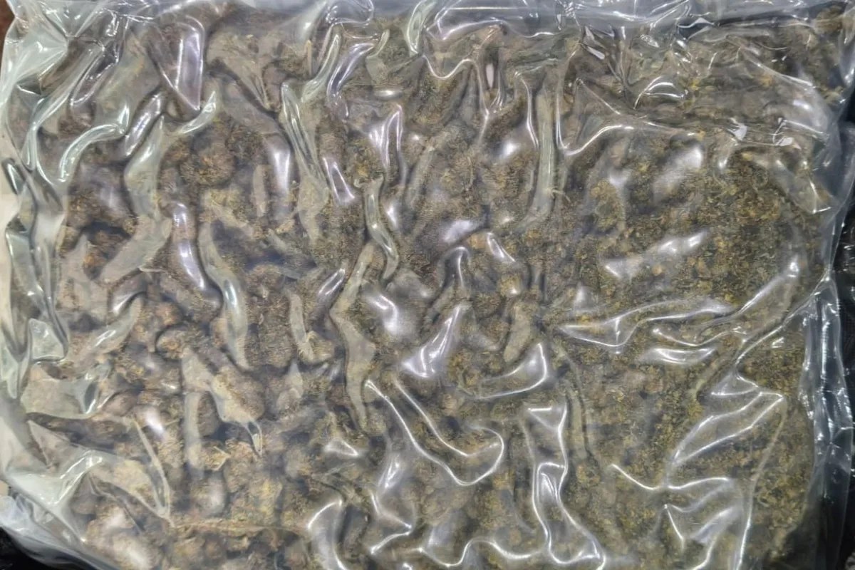 एयरपोर्ट पर ₹25 करोड़ का गांजा हुआ बरामद, बैंकॉक से आए यात्रियों के बैग से मिला माल, गुजरात के हैं आरोपी