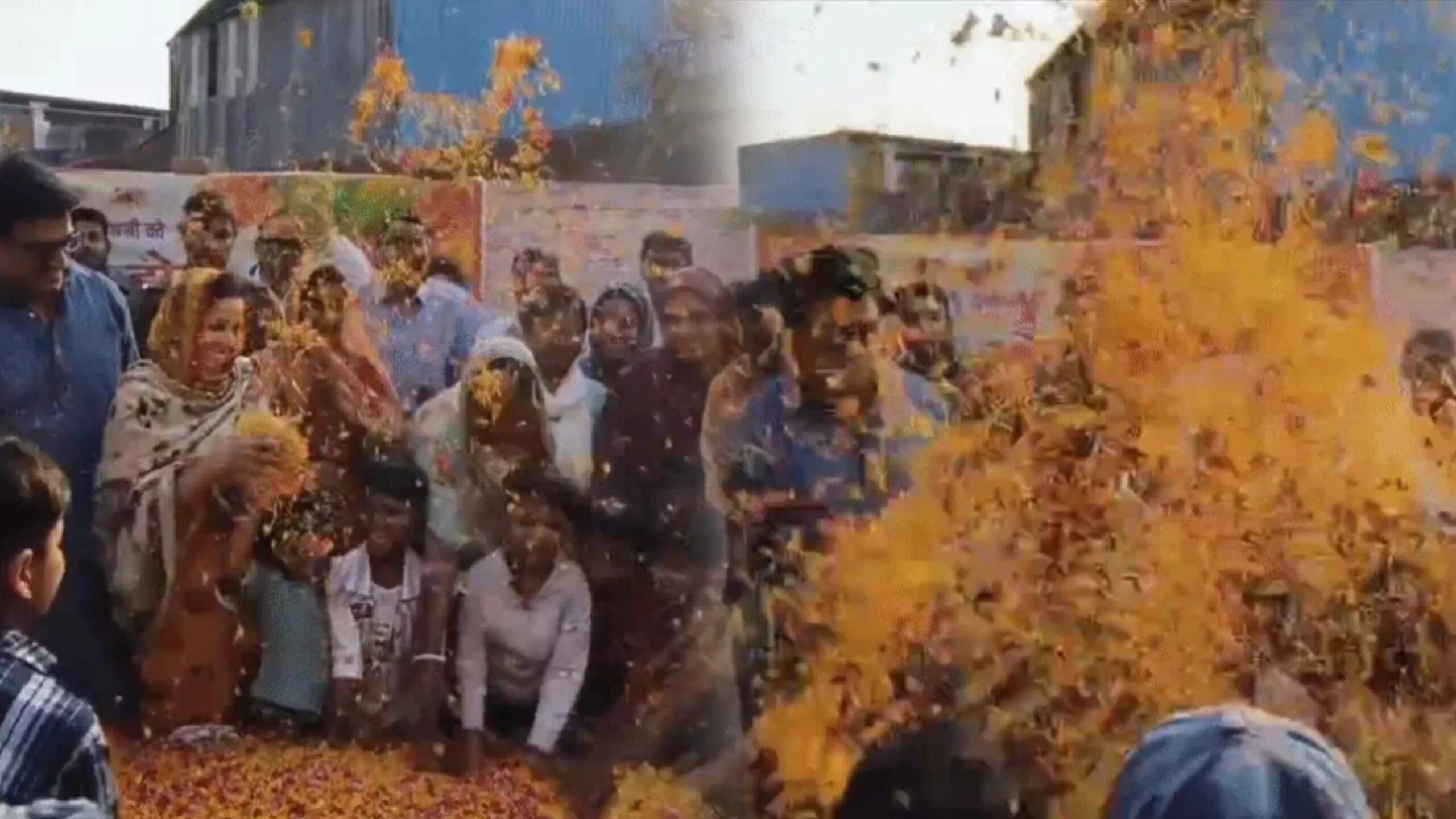 Kanpur News: शिवालय में खिला रंगों का गुलाल, नसीम सोलंकी ने फूलों से खेली होली