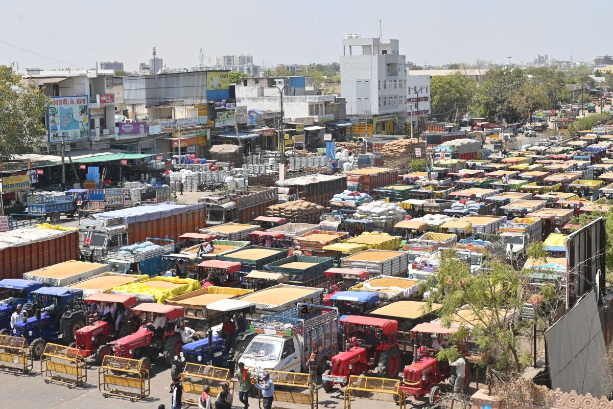 Kota Mandi Bhav : धान, सोयाबीन, सरसों व चना तेज