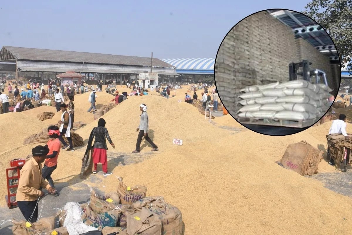 Kota Mandi Bhav : गेहूं, सोयाबीन तेज, सरसों, चना नया मंदा