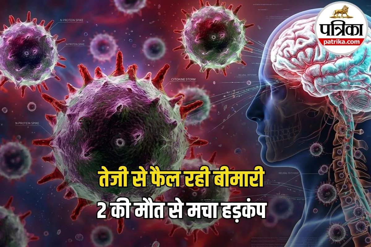 सिर्फ फ्लू नहीं है यह बुखार, Meningitis के मामलों में अचानक बढ़ोतरी, जानें क्यों खतरनाक है यह बीमारी