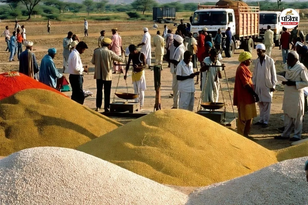 Mustard-Gram Purchase : राजस्थान में 25 मार्च से होगी सरसों-चने की MSP पर खरीद, मंत्री गौतम कुमार दक ने दी पूरी जानकारी