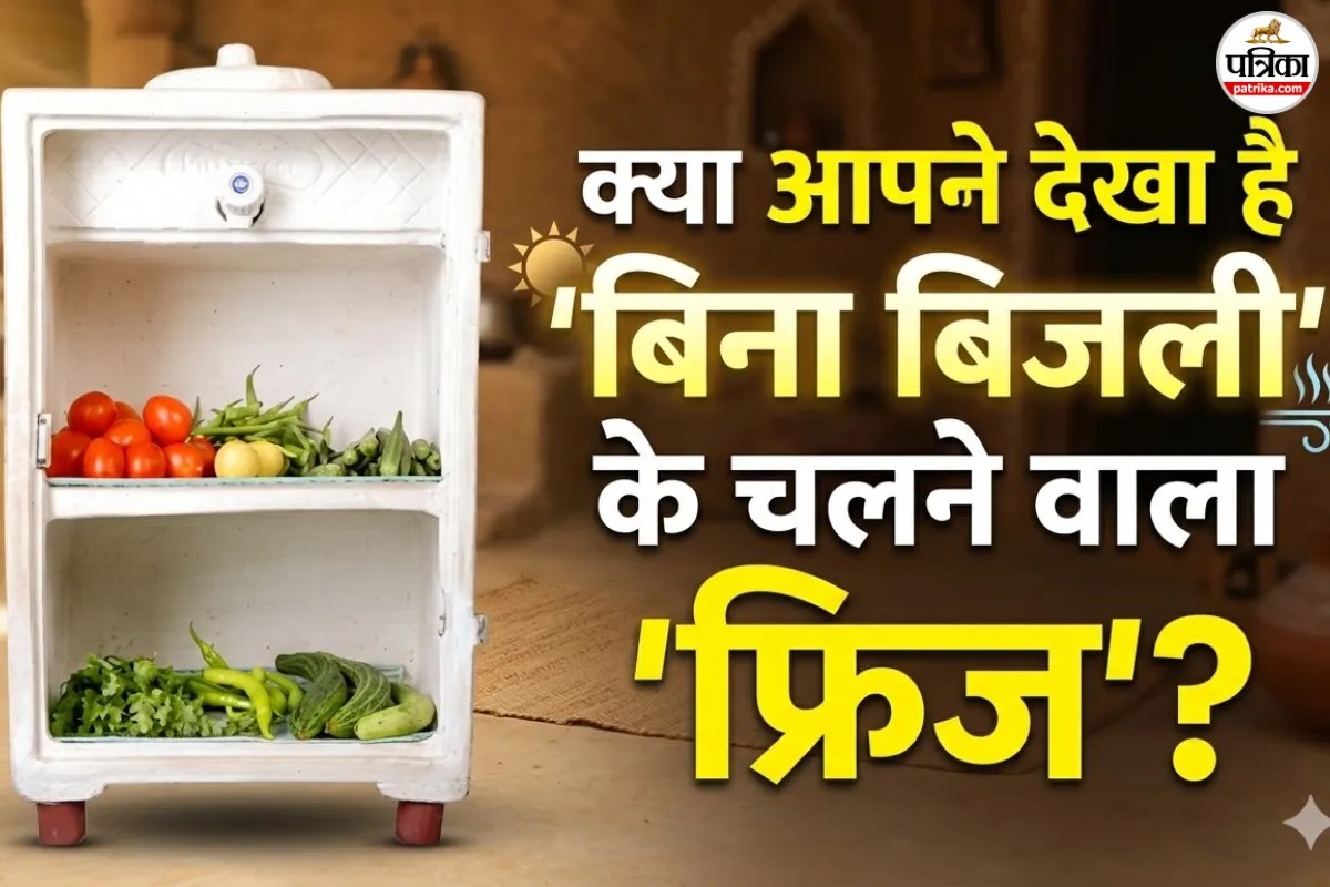 फ्रिज के बिजली बिल से हैं परेशान? घर ले आएं यह ‘जादुई फ्रिज’, महीने भर का खर्चा ₹0!