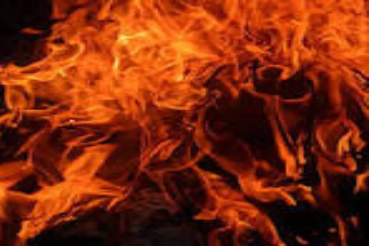 Ennore Coal Yard Fire: त्वरित कार्रवाई से बड़ा हादसा टला