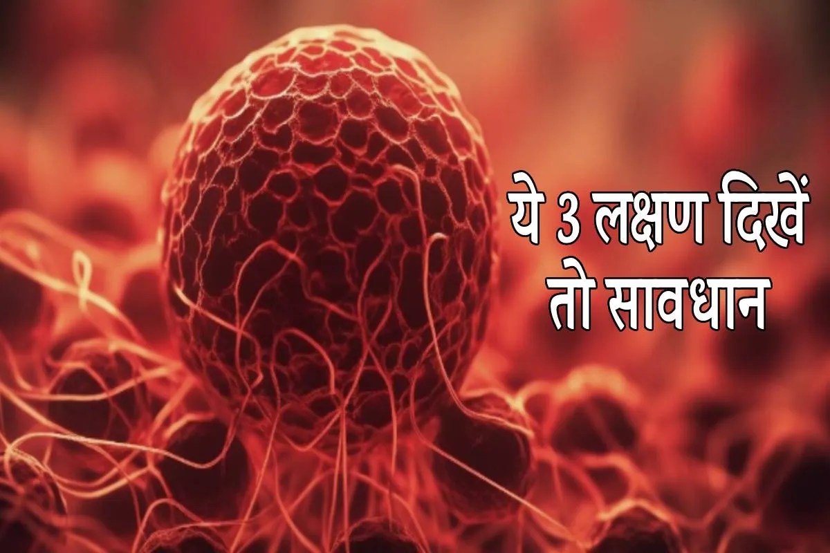 Research: मोटापे से हो सकता है कैंसर ! हाई रिस्क पर है 40 पार वाली महिलाएं