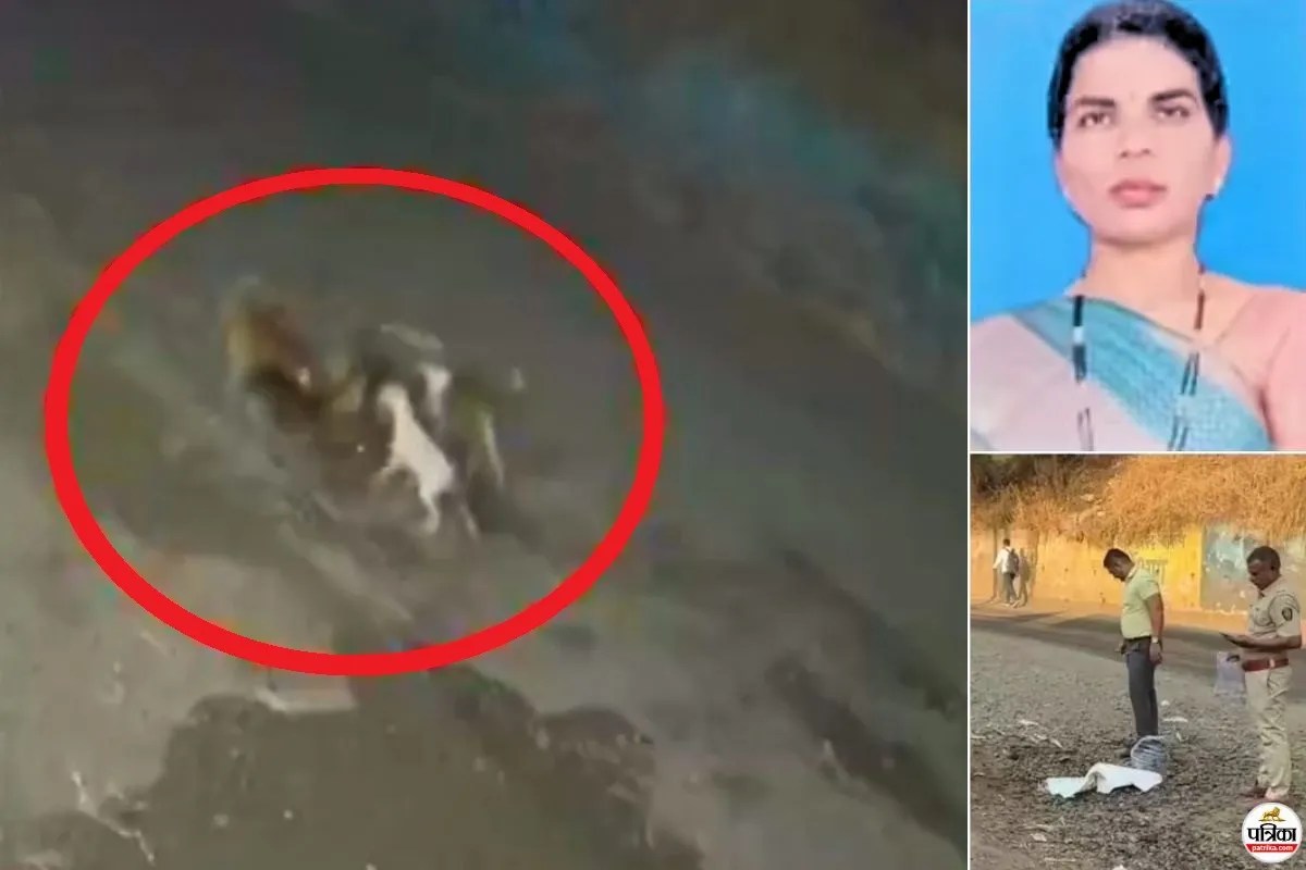 Pune: आवारा कुत्तों ने महिला को नोच-नोच कर मार डाला, निर्वस्त्र हालत में मिला शव