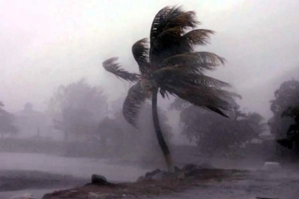 यूपी के इन जिलों में 40 किलोमीटर प्रति घंटे की रफ्तार से चलेंगी तेज हवाएं, होगी ताबड़तोड़ बारिश, देखें IMD का अलर्ट