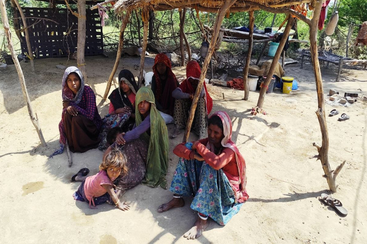 Rajasthan Firing: अंतरजातीय शादी से नाराज थे काका, गुस्साए भतीजे ने गोली से उड़ाया, परिवार में कोहराम, इलाके में दहशत