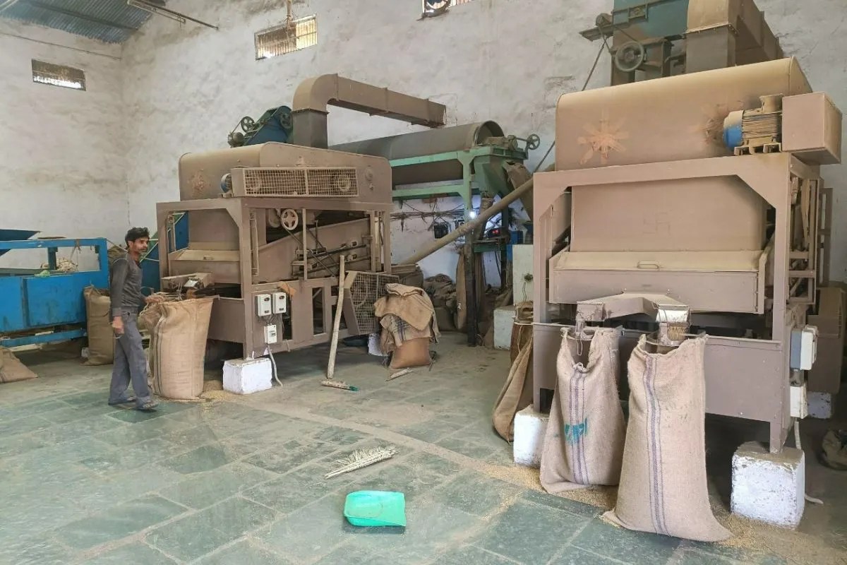 Iran-US War Impact: अमरीका-ईरान जंग का किसानों पर तगड़ा असर, चावल निर्यात ठप, धान की बंपर आवक, गिरे दाम