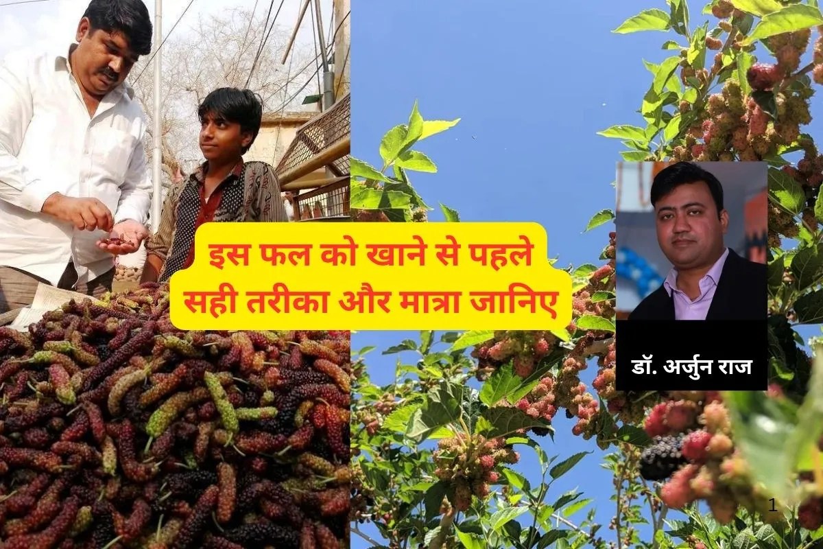 Shahtoot Benefits : इस छोटे फल में कई गुण, गर्मी में हर दिन खाने से कई फायदे, आयुर्वेदिक डॉक्टर ने बताया सही तरीका