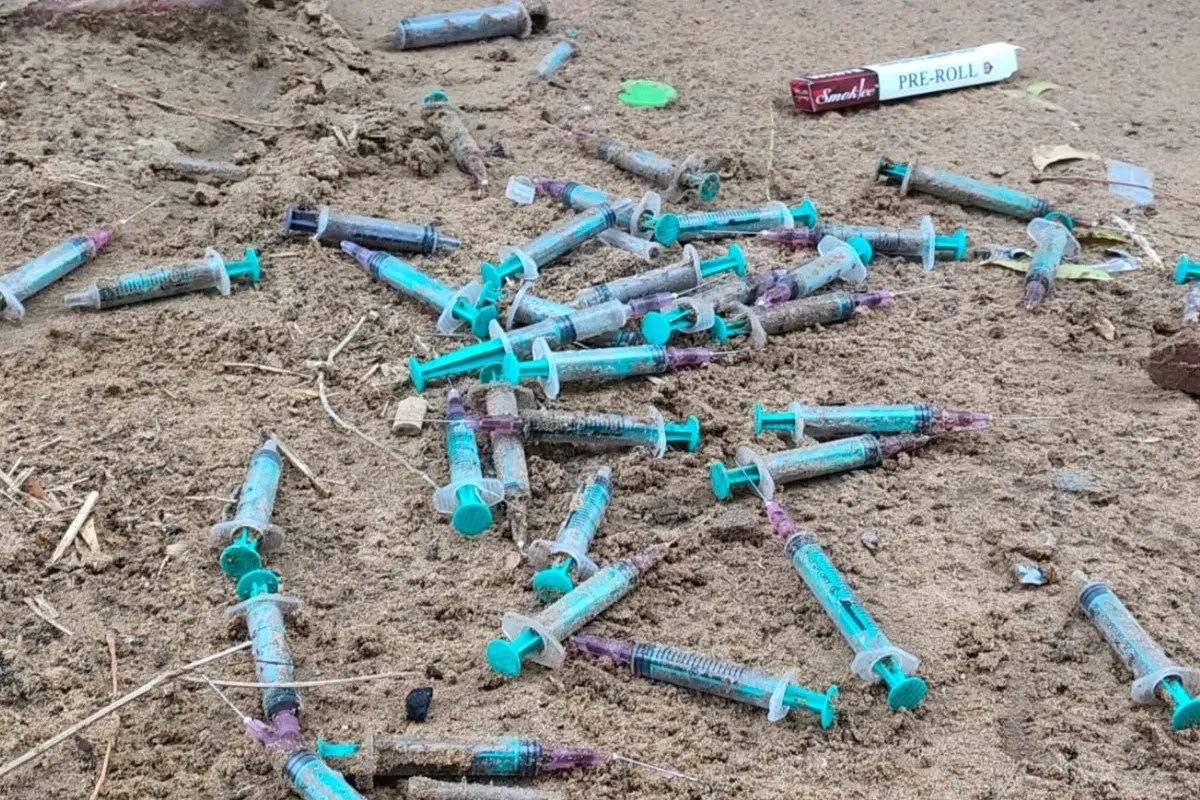 चुरू: उड़ता सादुलपुर… युवा भविष्य नशे की लत में; अफीम, गांजा और इंजेक्शन का बढ़ता जाल