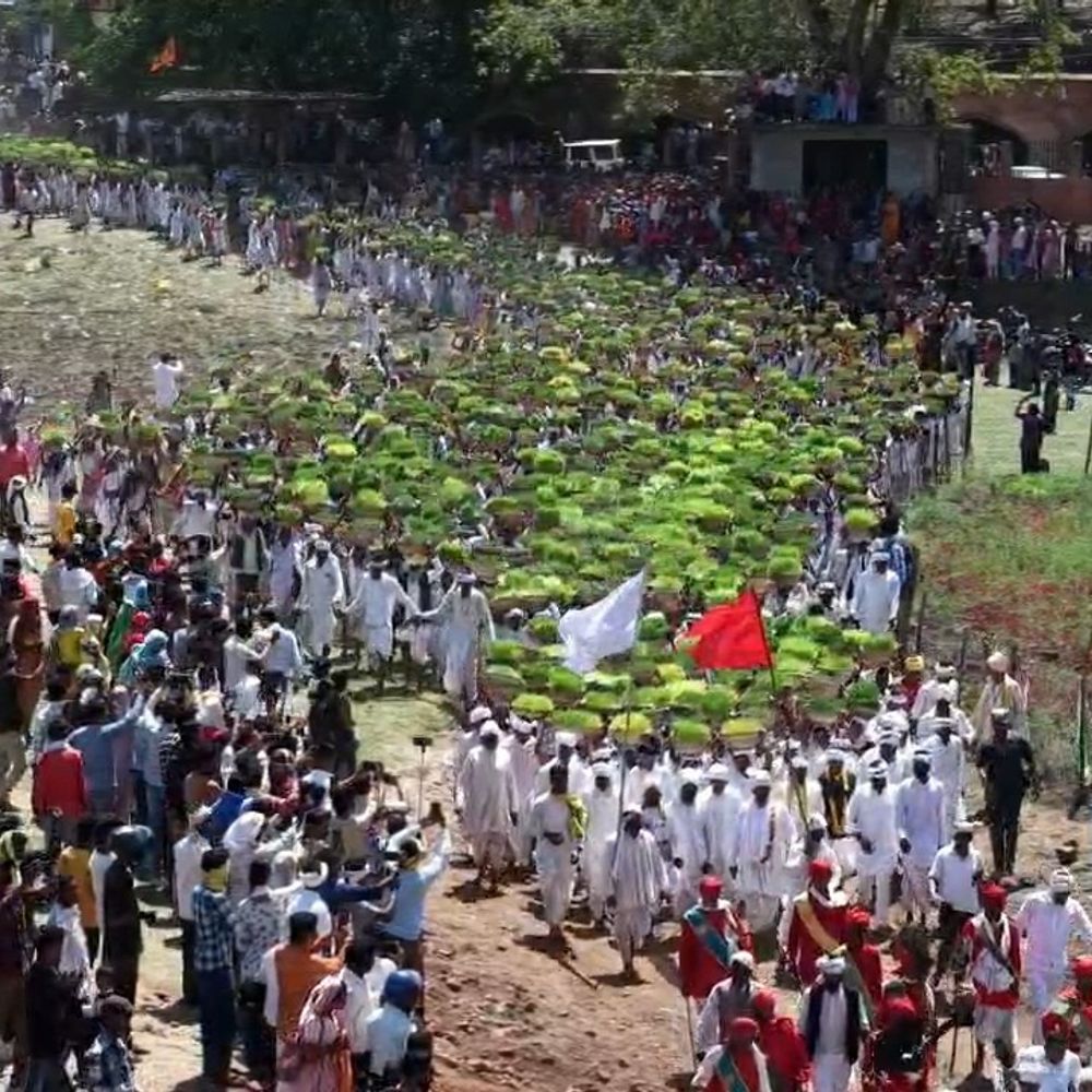 सफेद साड़ी में जवारे विसर्जन के लिए पहुंची हजारों महिलाएं:4 किलोमीटर पैदल पहुंची नर्मदा तट, झूमते-गाते तय किया सफर