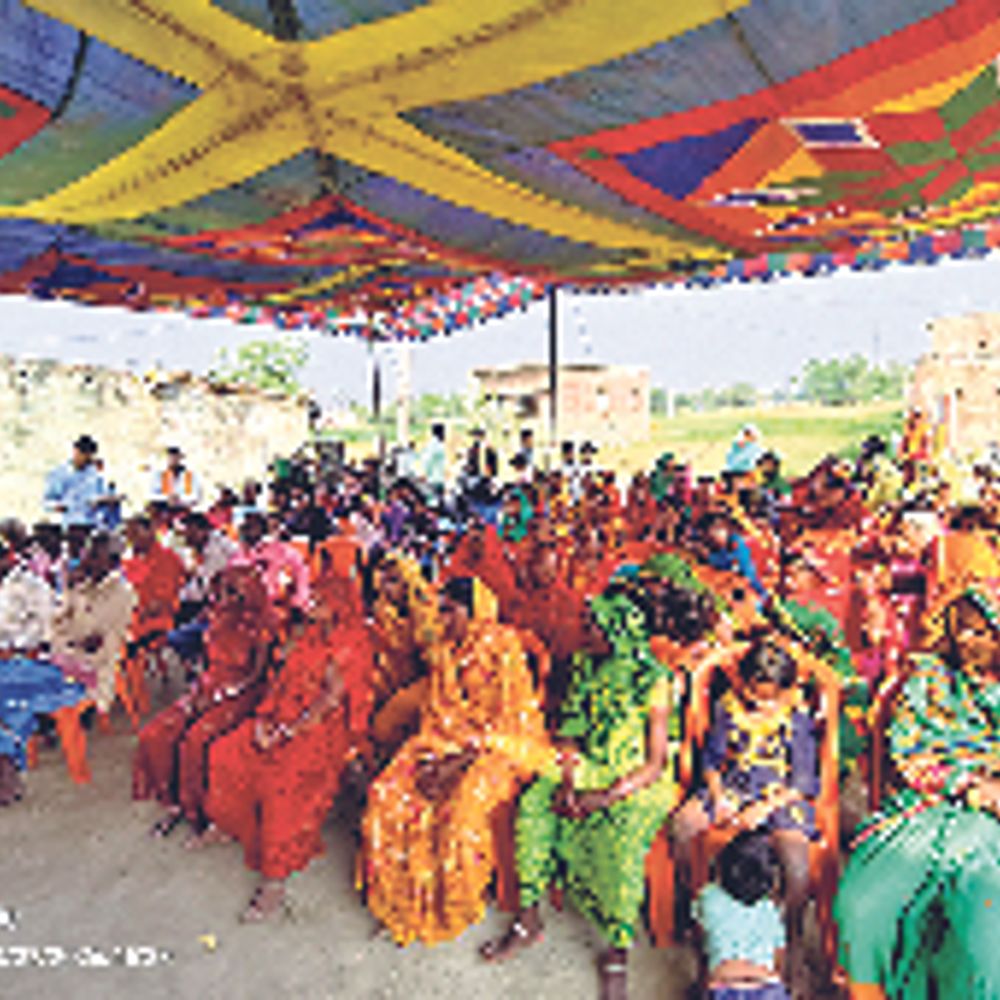 बायो फोर्टिफाइड किस्म पर सीएफएलडी के तहत फील्ड डे कार्यक्रम का आयोजन