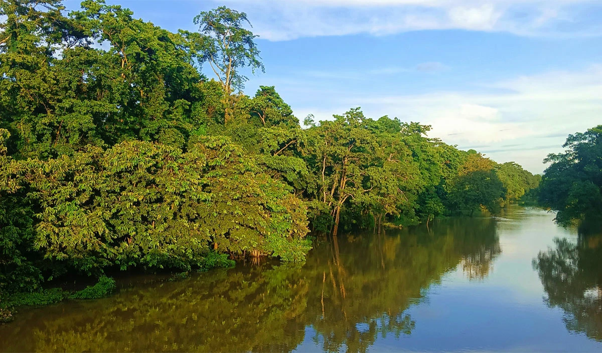 Assam Profile: असम के इतिहास से जुड़े हैं ये रोचक तथ्य, यहां समझिए