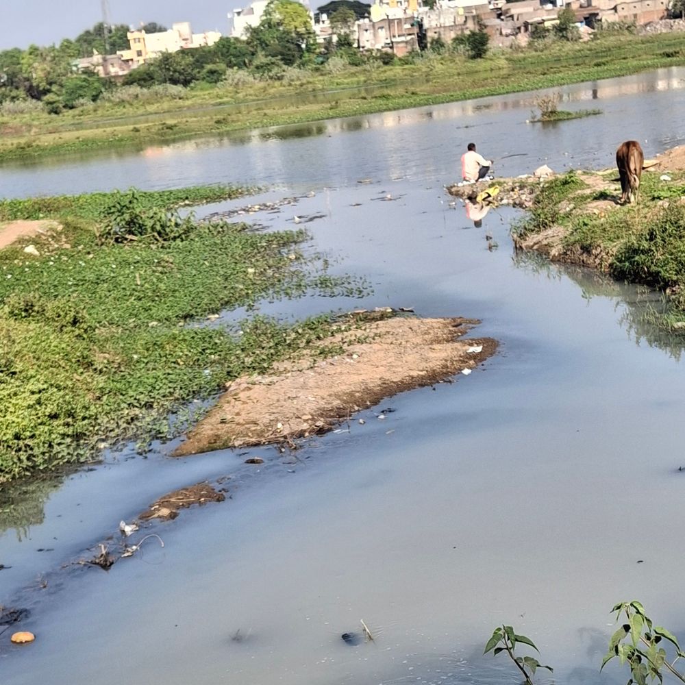 बिलासपुर सीवरेज परियोजना फेल, 390 करोड़ खर्च:18 साल से शहर का गंदा पानी अरपा को प्रदूषित कर रहा, 252 करोड़ का नया प्रस्ताव