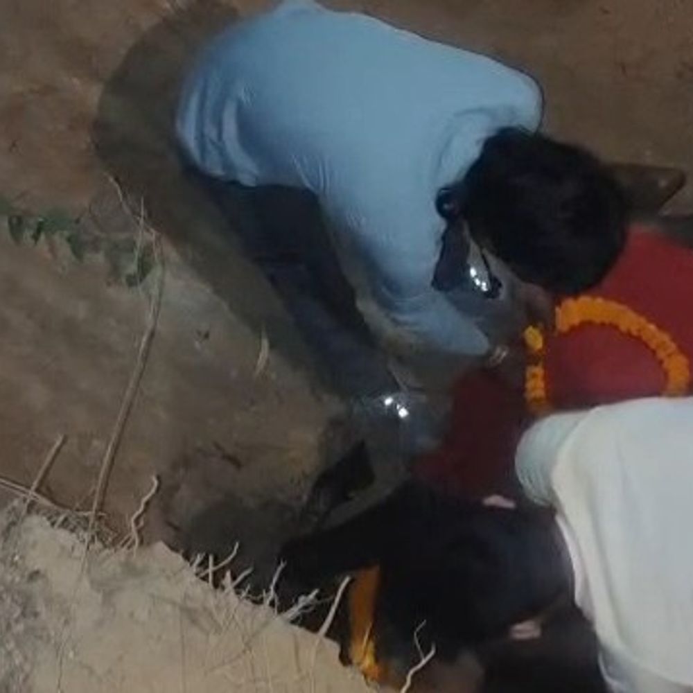 पिकअप वाहन की टक्कर से ‘नंदी’ की मौत:युवाओं ने हिंदू रीति-रिवाज से किया अंतिम संस्कार, फरार वाहन पर कार्रवाई की मांग