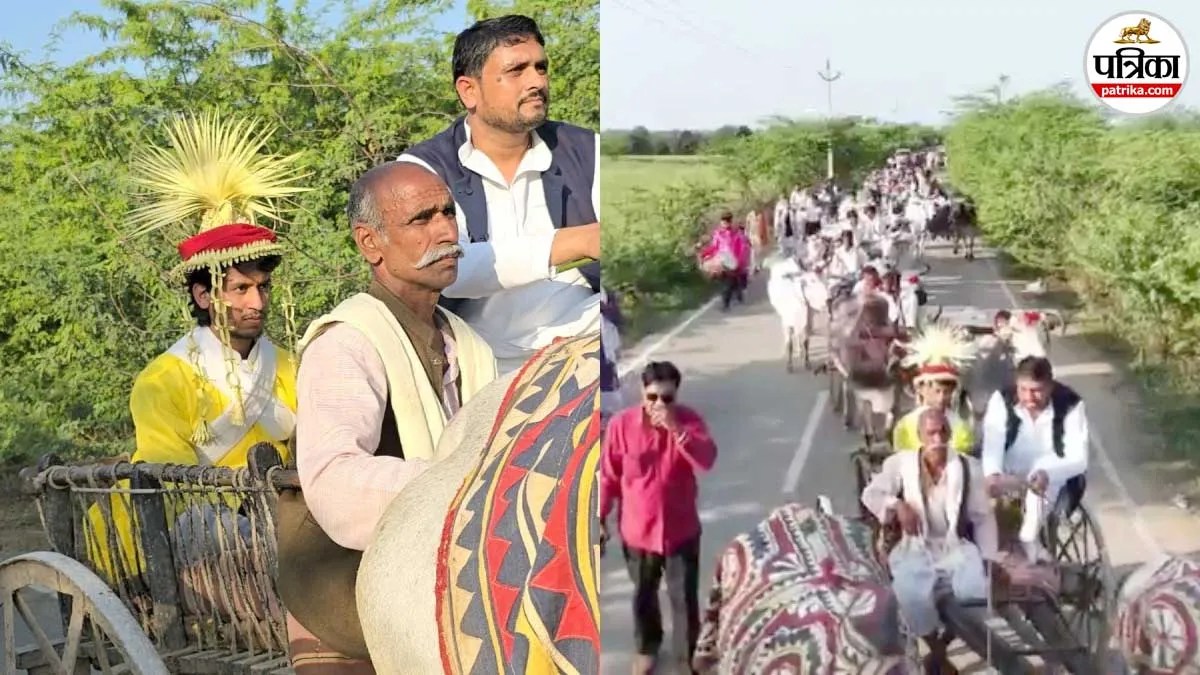 ना डीजे, ना बैंड-बाजा… 25 बैलगाड़ियों में निकली 3 किमी लंबी बारात, बुंदेलखंड में लौटी सदियों पुरानी शान