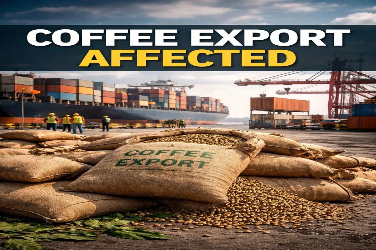 पश्चिम एशिया संकट से कॉफी निर्यात प्रभावित