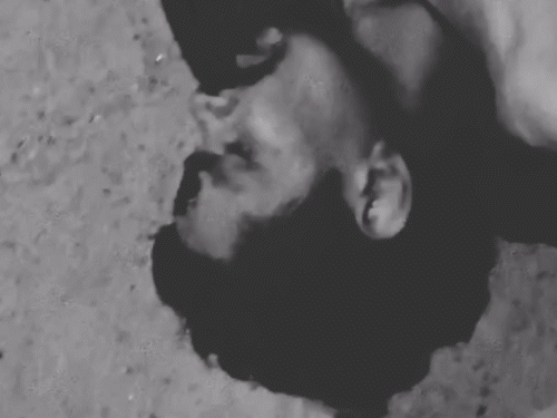 पटना में बुलेट बाइक की टक्कर से दो की मौत:परसा बाजार में मजदूर को रौंदा, एक युवक घायल; गुस्साए लोगों ने किया सड़क जाम