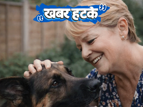 खबर हटके- कुत्ते ने सूंघकर कैंसर का पता लगाया:कोमा से लौटे शख्स ने बताया नर्क का हाल; प्लेन के बाथरूम में 5KM दौड़ा एथलीट