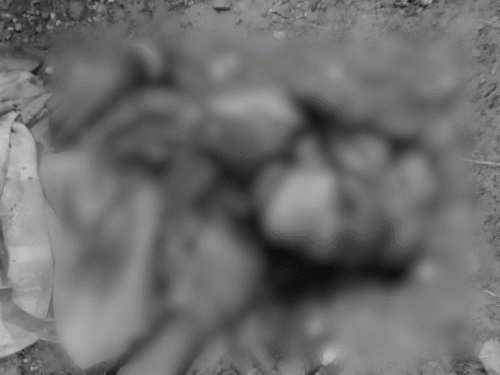 चतरा में महुआ चुनने गई महिला की हत्या:अपराधियों ने टांगी से गला काटा, जंगल से क्षत-विक्षत हालत में मिला शव