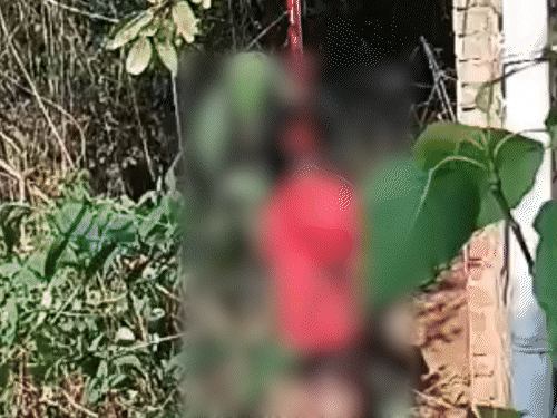 मधुपुर में पेड़ से लटका मिला किशोर का शव:घर से खेलने निकला था, देर रात तक नहीं लौटा, इलाके में सनसनी