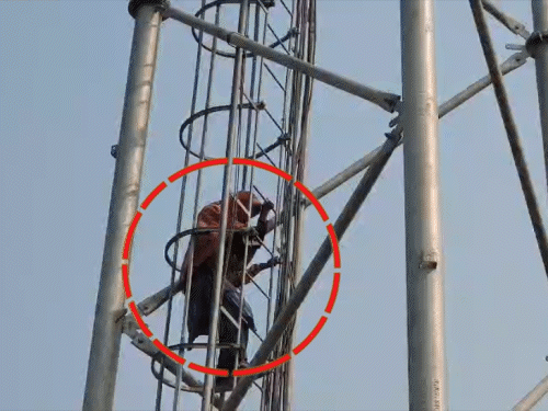 प्रेमी की गिरफ्तारी से नाराज प्रेमिका टावर पर चढ़ी:गोपालगंज में युवती ने की रिहाई और शादी की मांग, 1 घंटे बाद बॉयफ्रेंड को देख नीचे उतरी