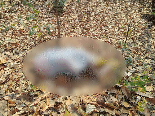 कोडरमा घाटी में बोरे से मिला महिला का शव:दुष्कर्म के बाद हत्या की आशंका, अब तक नहीं हो सकी है पहचान