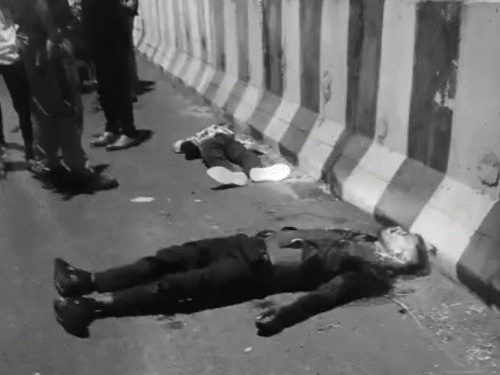 कौशांबी में अज्ञात वाहन ने बाइक सवार को रौंदा:दो भाइयों की मौत, शादी में शामिल होकर लौट रहे थे घर