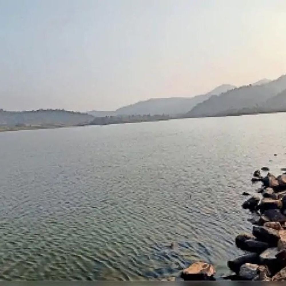 मधुमक्खियों के हमले से मची अफरा-तफरी:पलामू में हमले से बचने के लिए डैम में कूदा युवक, डूबने से हुई मौत