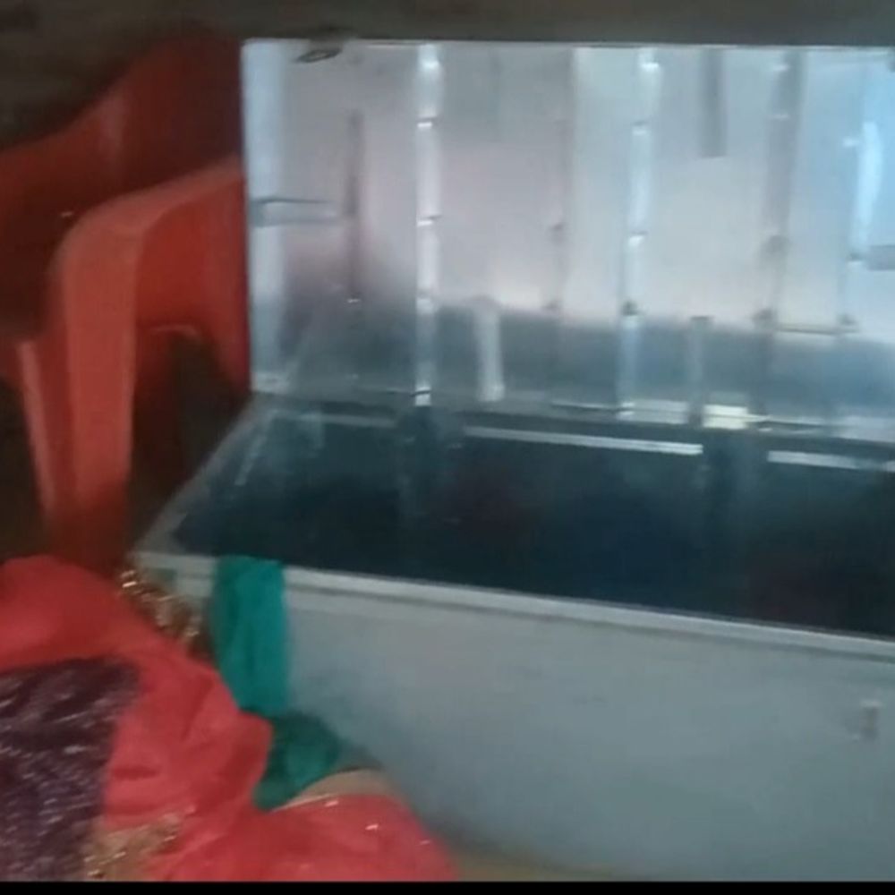 बदायूं 14 दिन में 17 चोरी की वारदातें:फैजगंज बेहटा थाना क्षेत्र में पुलिस गश्त पर सवाल