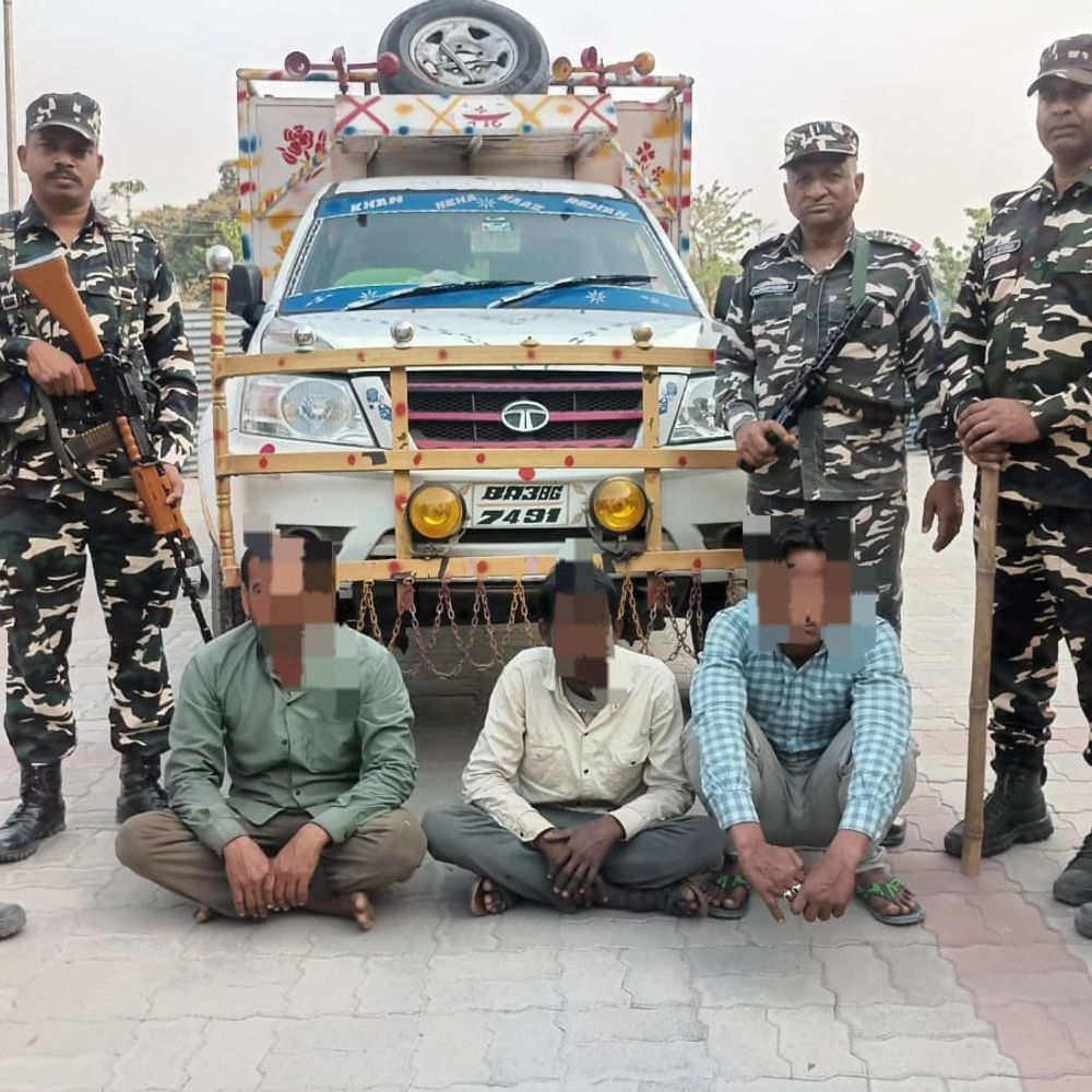 सुपौल-नेपाल सीमा पर SSB की बड़ी कार्रवाई:9 मवेशी व टाटा पिकअप जब्त, 3 तस्कर गिरफ्तार, नरपतपट्टी के पास स्पर 1775 पर पकड़ा वाहन