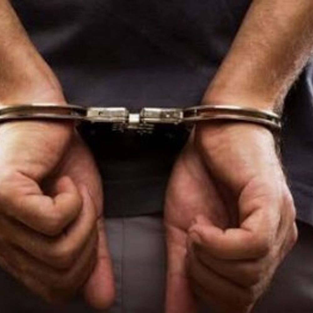 बरनाला में घर के आंगन में अफीम की खेती:किराए के मकान लेकर आरोपी ने उगाए पौधे, पुलिस का छापा, आरोपी गिरफ्तार