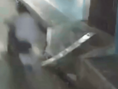 आवार कुत्तों ने दौड़ाया, युवक की मौत:बाइक से घर लौट रहा था, कुत्तों के दौड़ाने पर सीढ़ियों से टकराकर गिरा