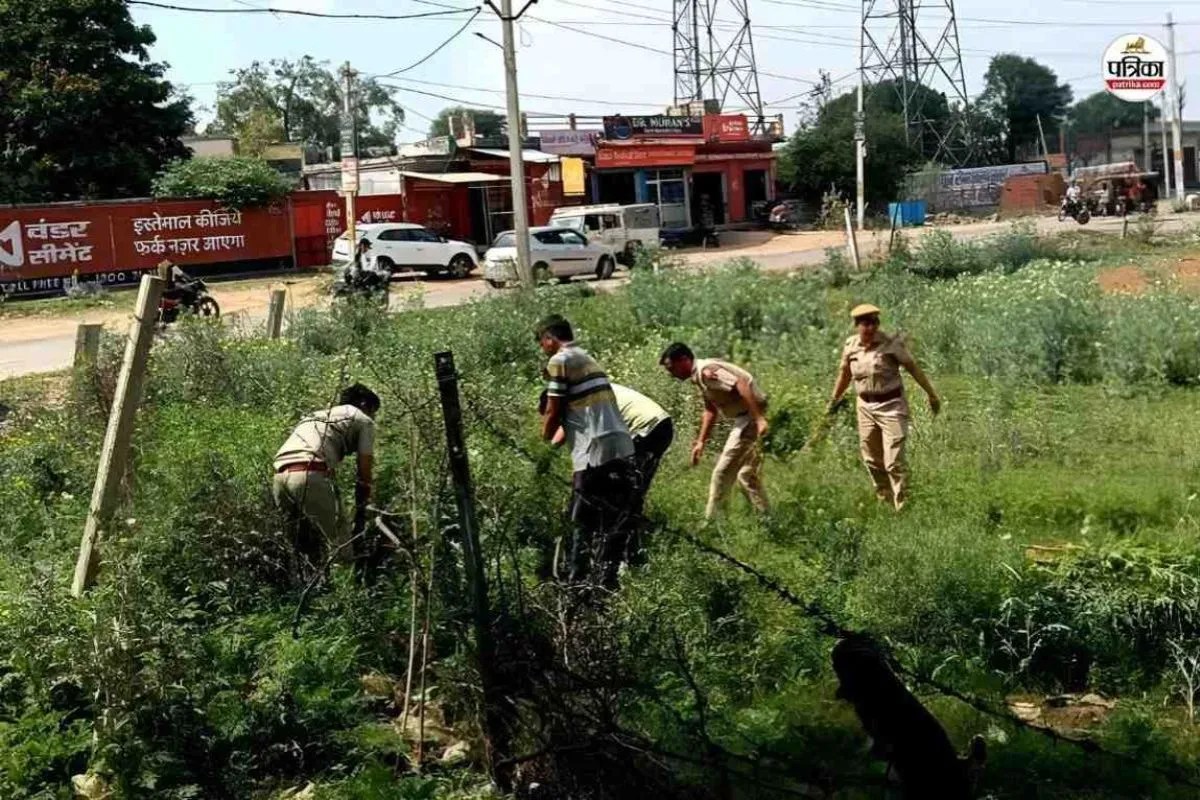 Jaipur: पब्लिक पार्क के पास लहलहा रही नशे की फसल, गंध से खुला बड़ा राज, ऑपरेशन एंटी वेनम में एक्शन